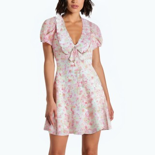 Floral Small Round Lapel Print Dress