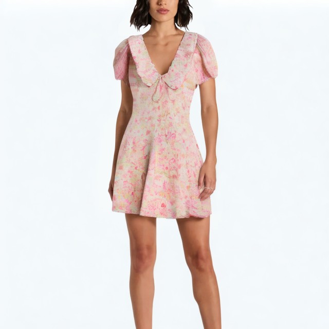 Floral Small Round Lapel Print Dress